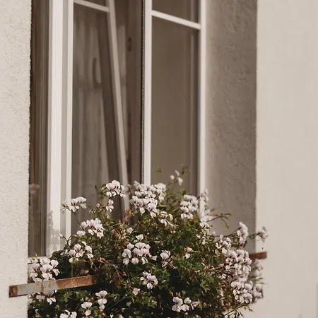 8 Smilgos Maison d'hôtes Klaipėda